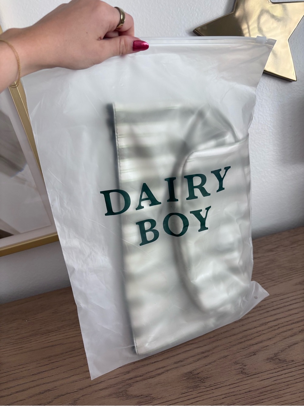DAIRY BOY Large Farm Friends Makeup Bag in Green Pinstripe